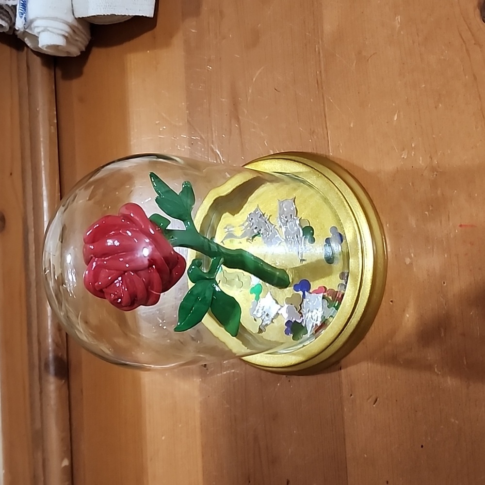 Enchanted Rose jewelry holder